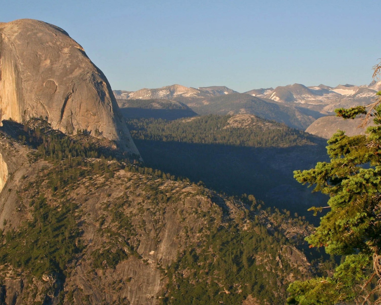 Горы и елка