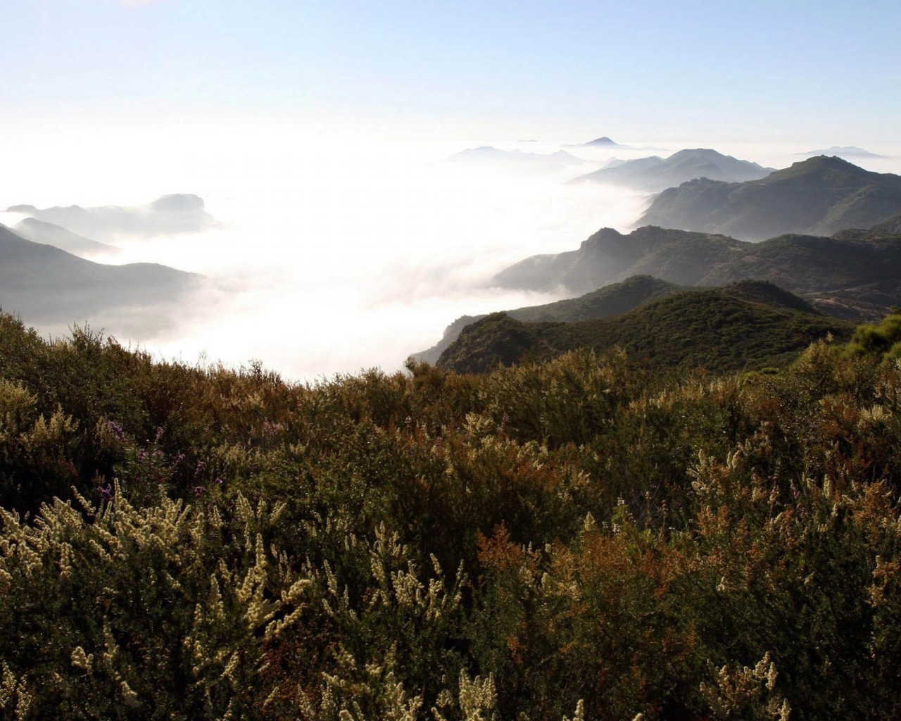 Горы в туманых облаках