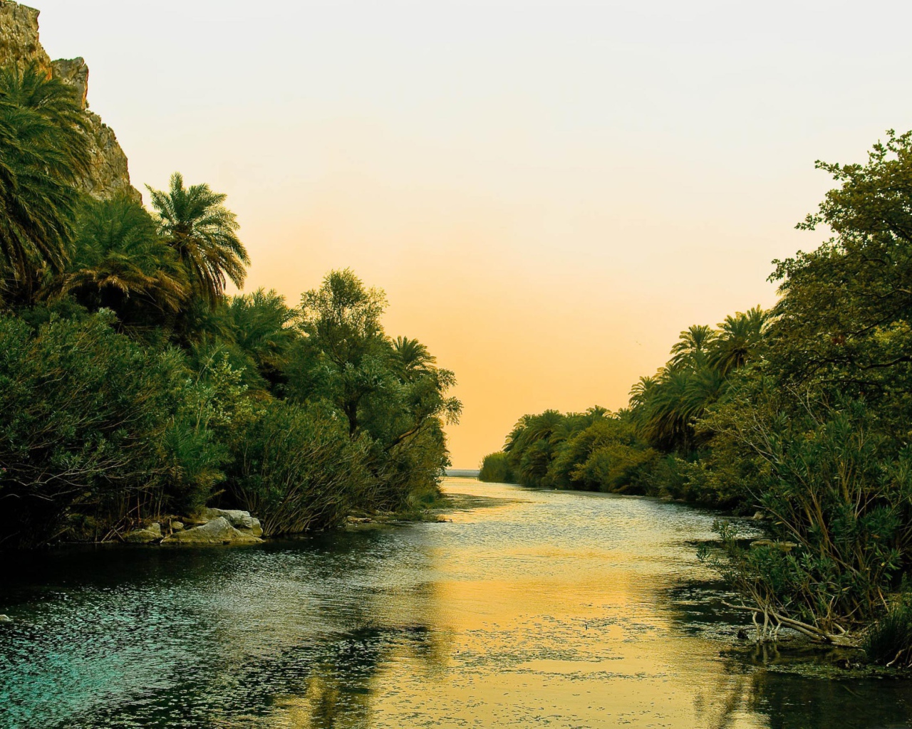 Река и пальмы