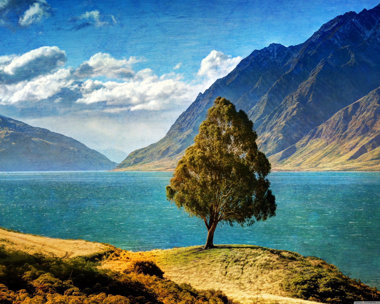 Дерево у озера