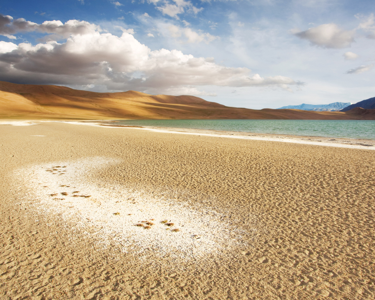 Чистый морской пляж