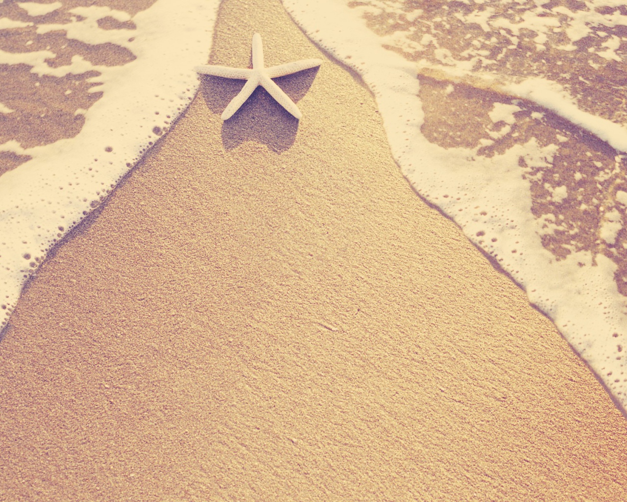 Морская звезда на пляже