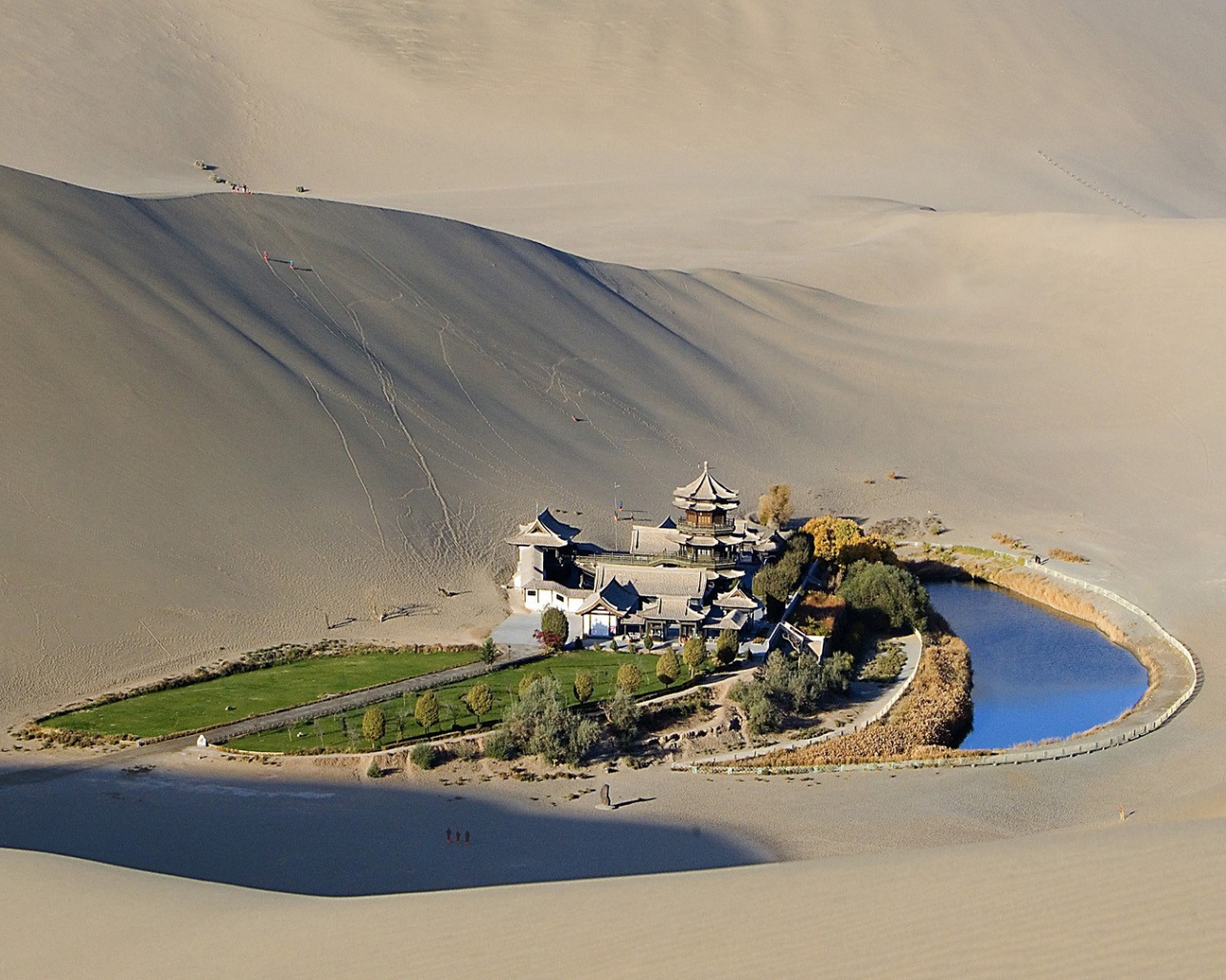 Оазис среди пустыни