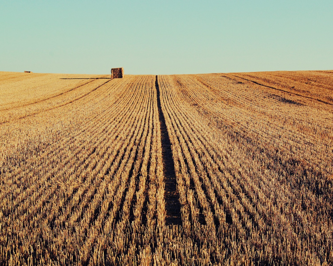 Осень скошенное поле
