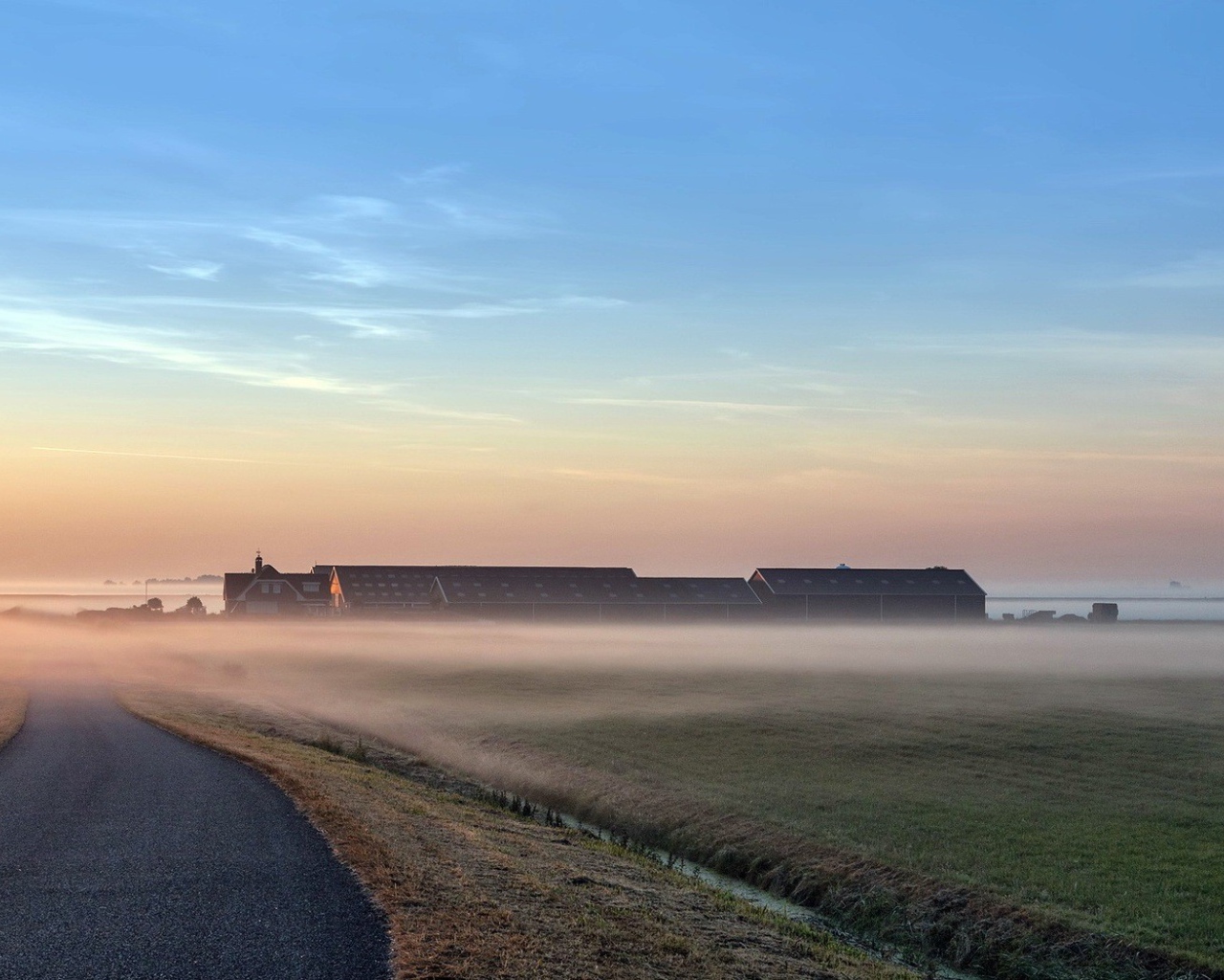 Раннее утро на поле