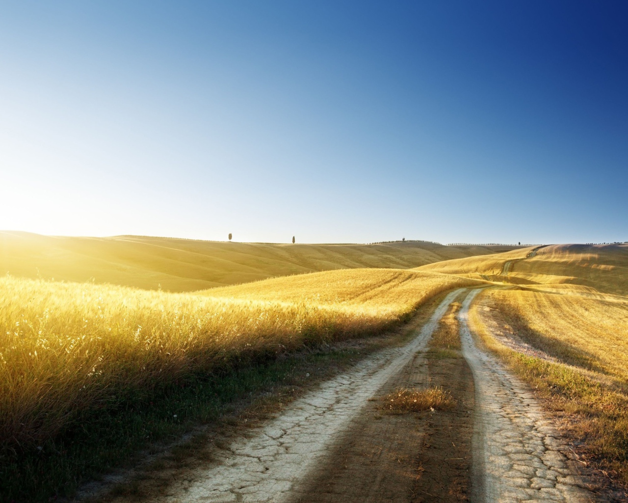 Золотые поля