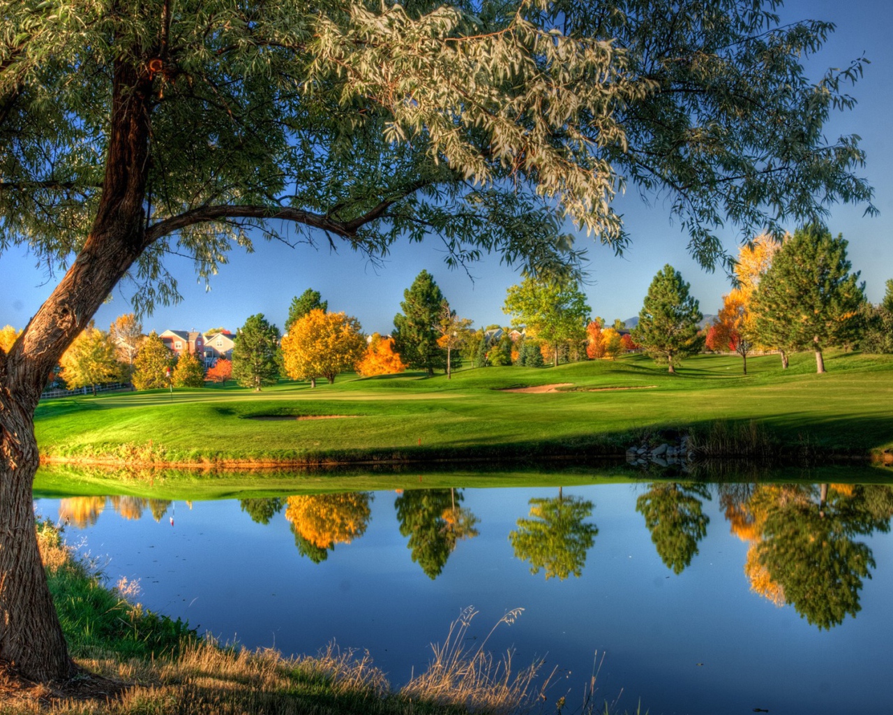 Поле для игры в гольф осенью