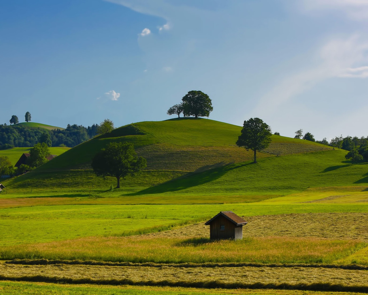 Урожайные поля