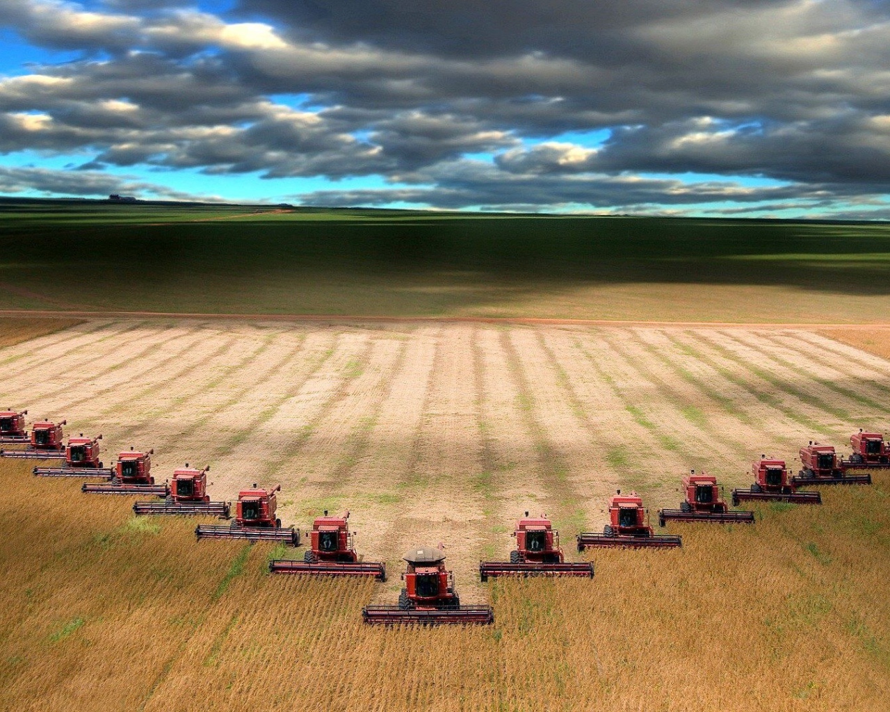 Уборка урожая