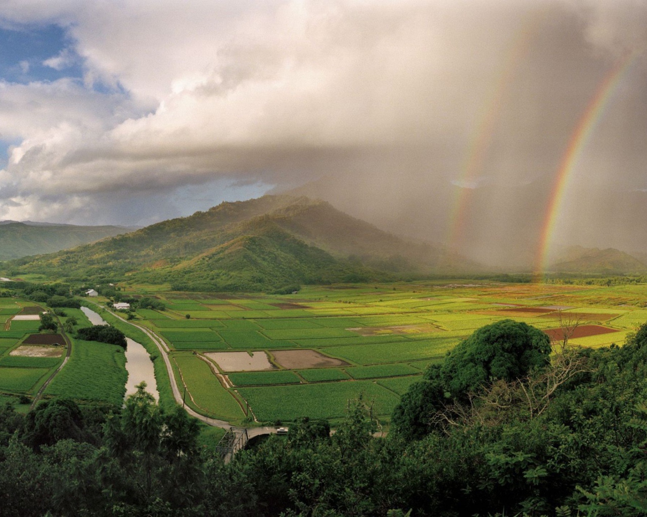 На Гавайях дождь