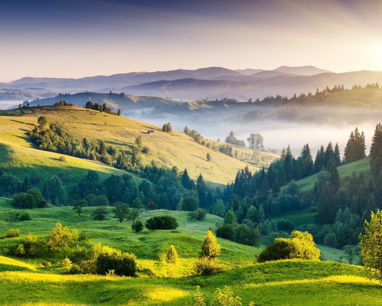 Холмистый пейзаж