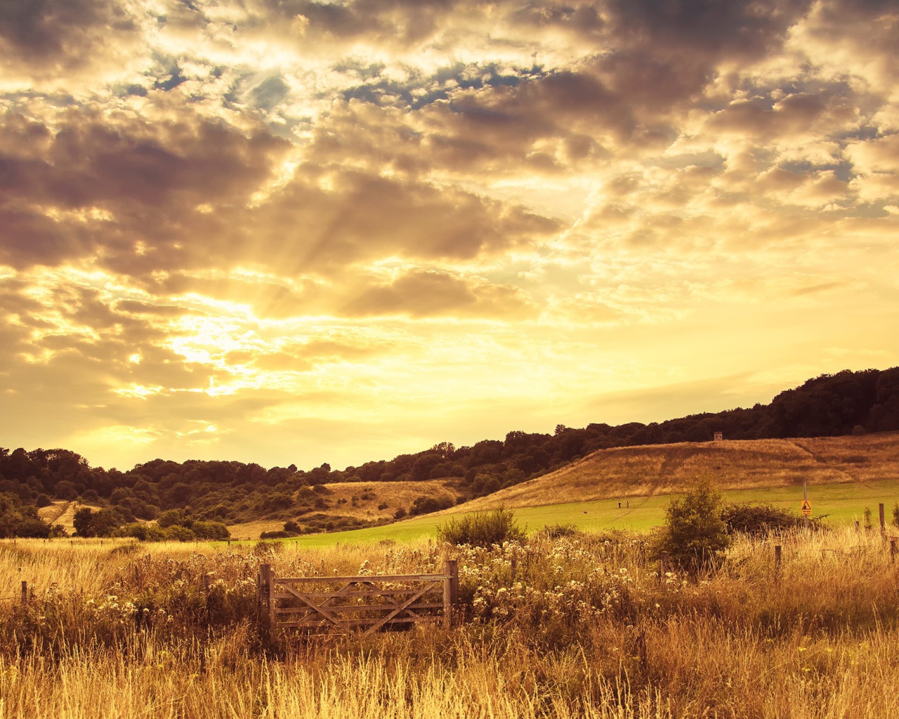 Закат на осеннем поле