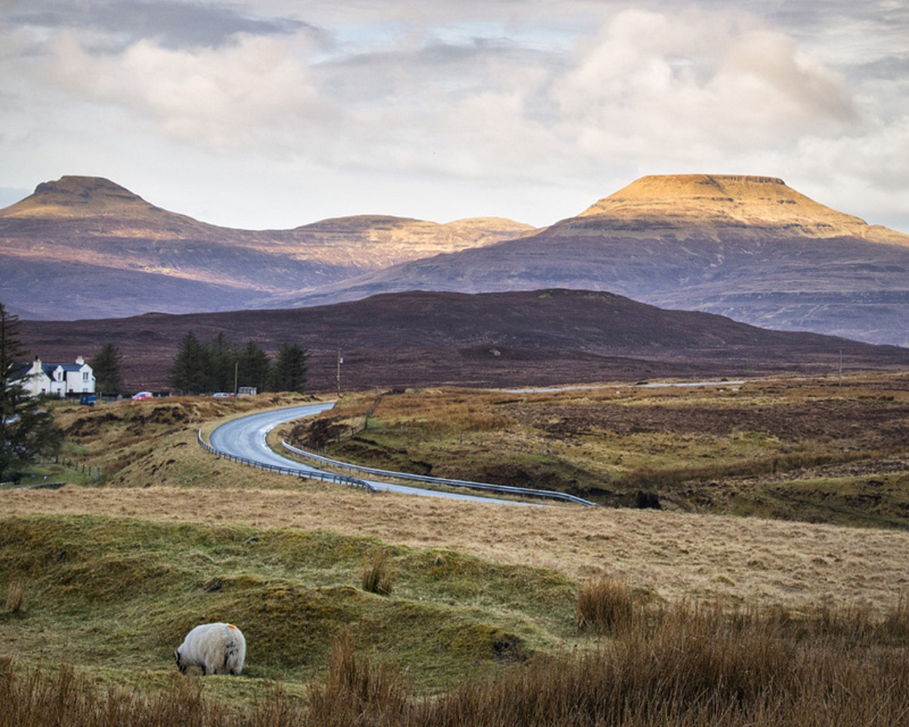 Дорога через поле в горы