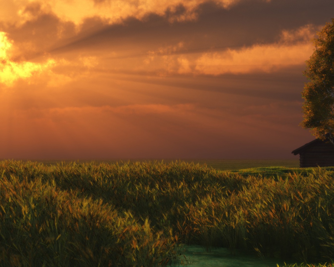 Солнечные лучи сквозь облака