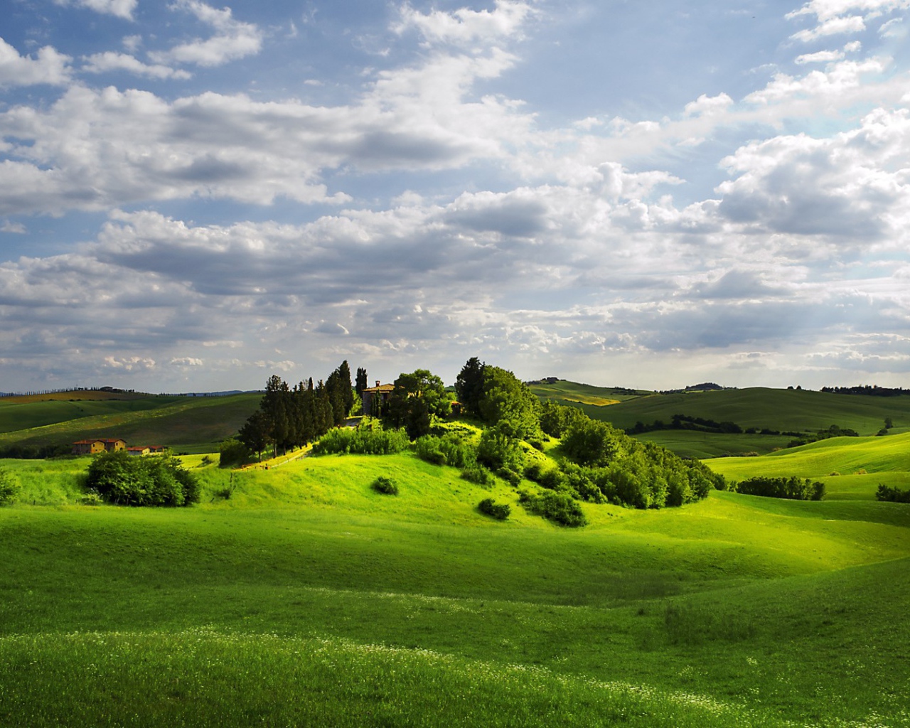 Изумрудно зеленые  холмы