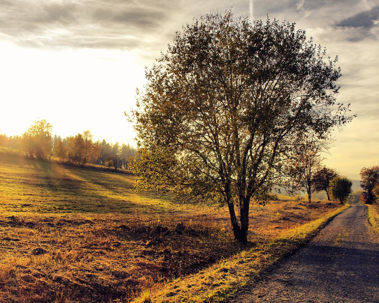 Деревенский пейзаж на закате