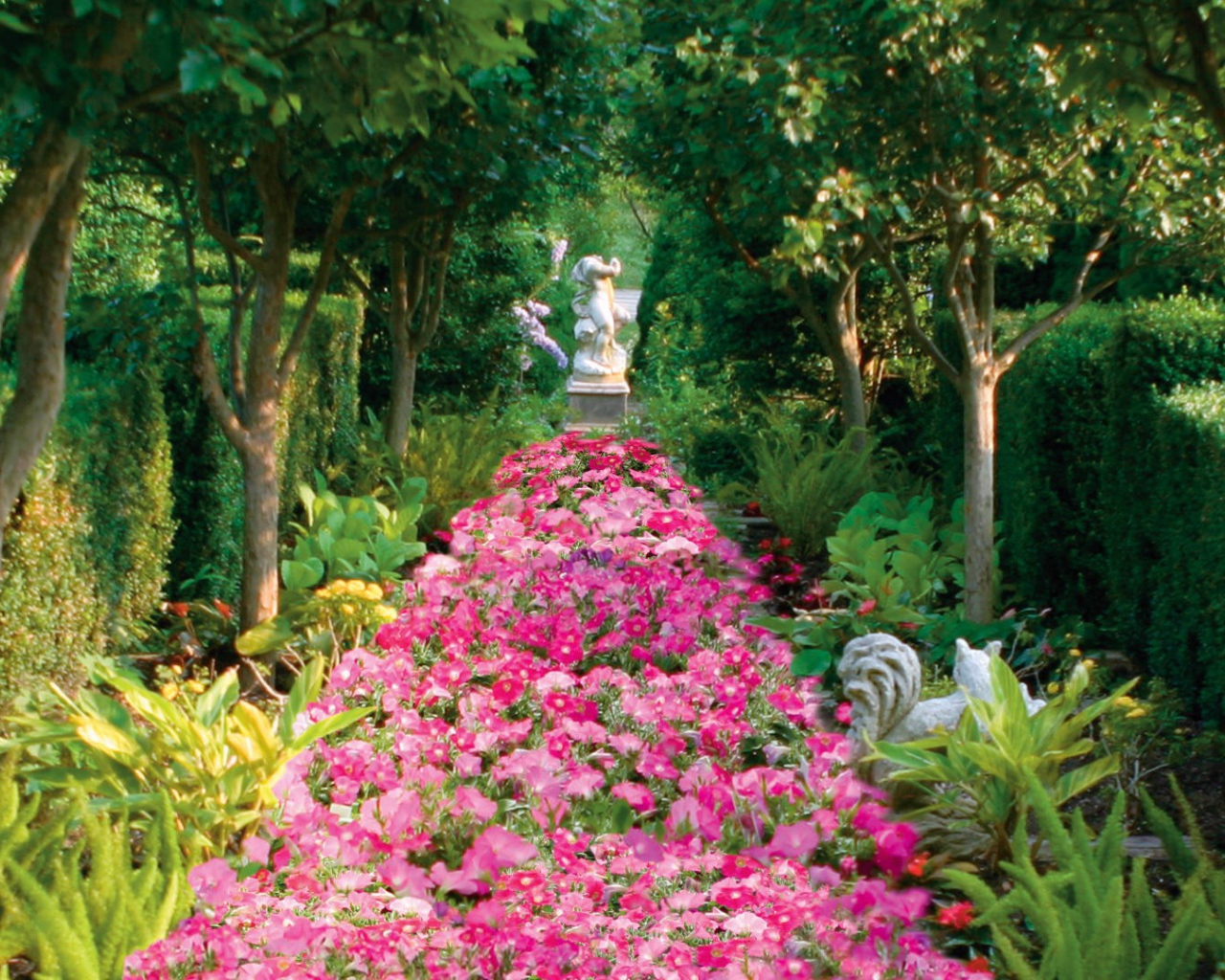 Аллея засаженная цветами