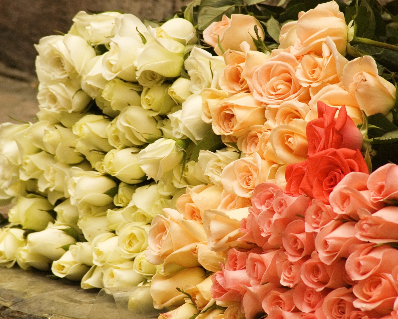 Большой букет роз