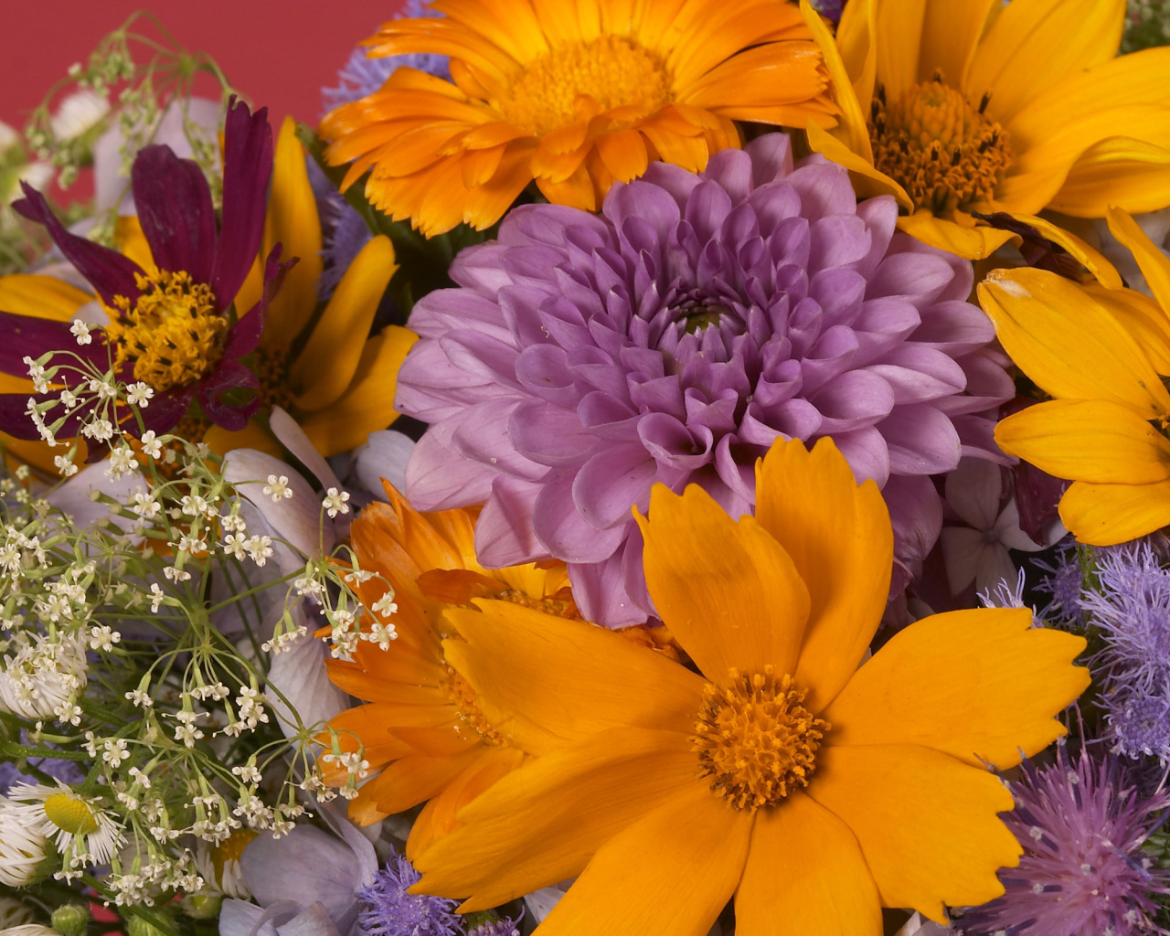 Красочный букет цветов