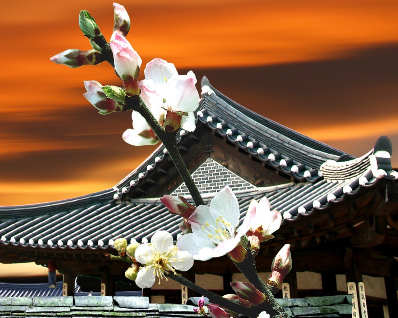 Цветы Японии