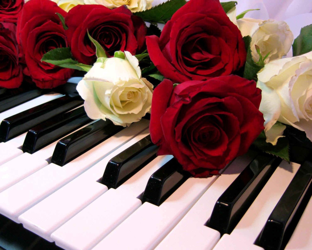 Розы на клавишах рояля