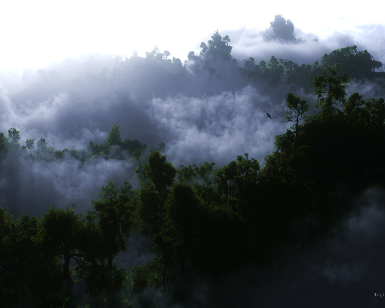 Туман среди деревьев