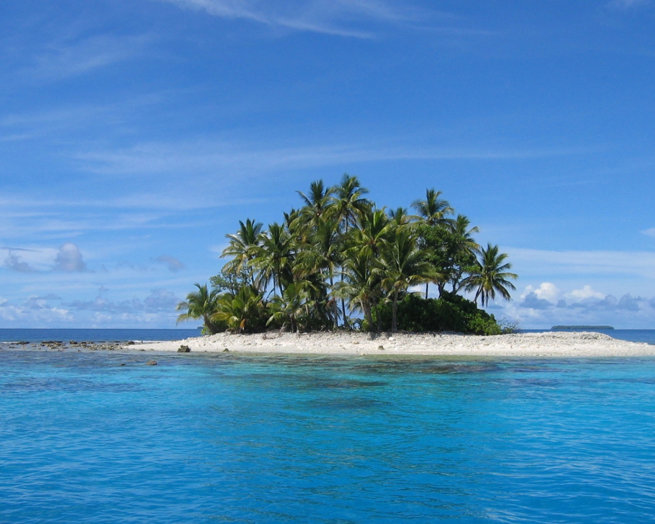 Остров с деревьями