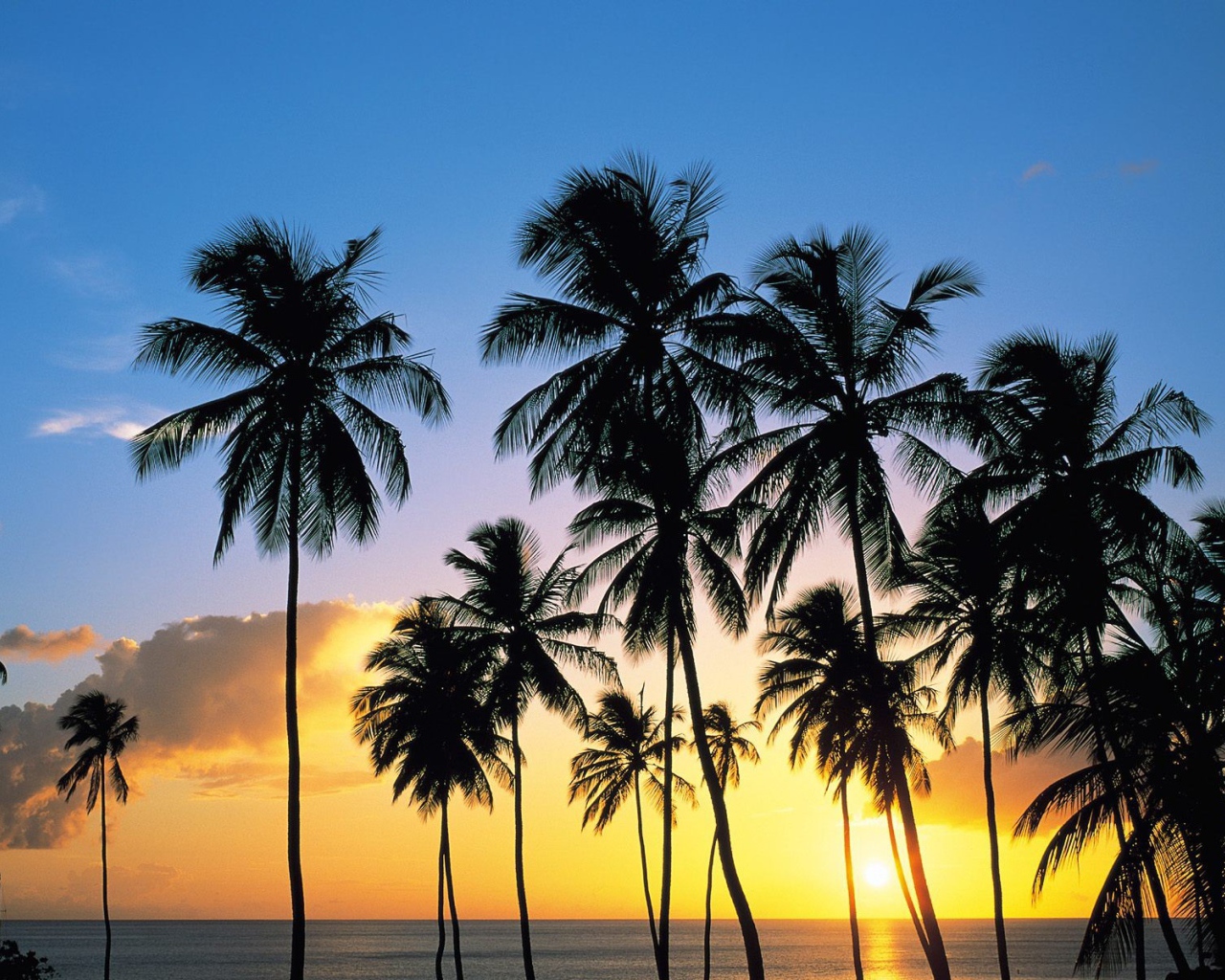 Утро на Карибских островах