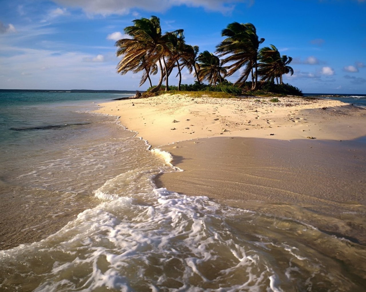 Песчаный Остров с пальмами
