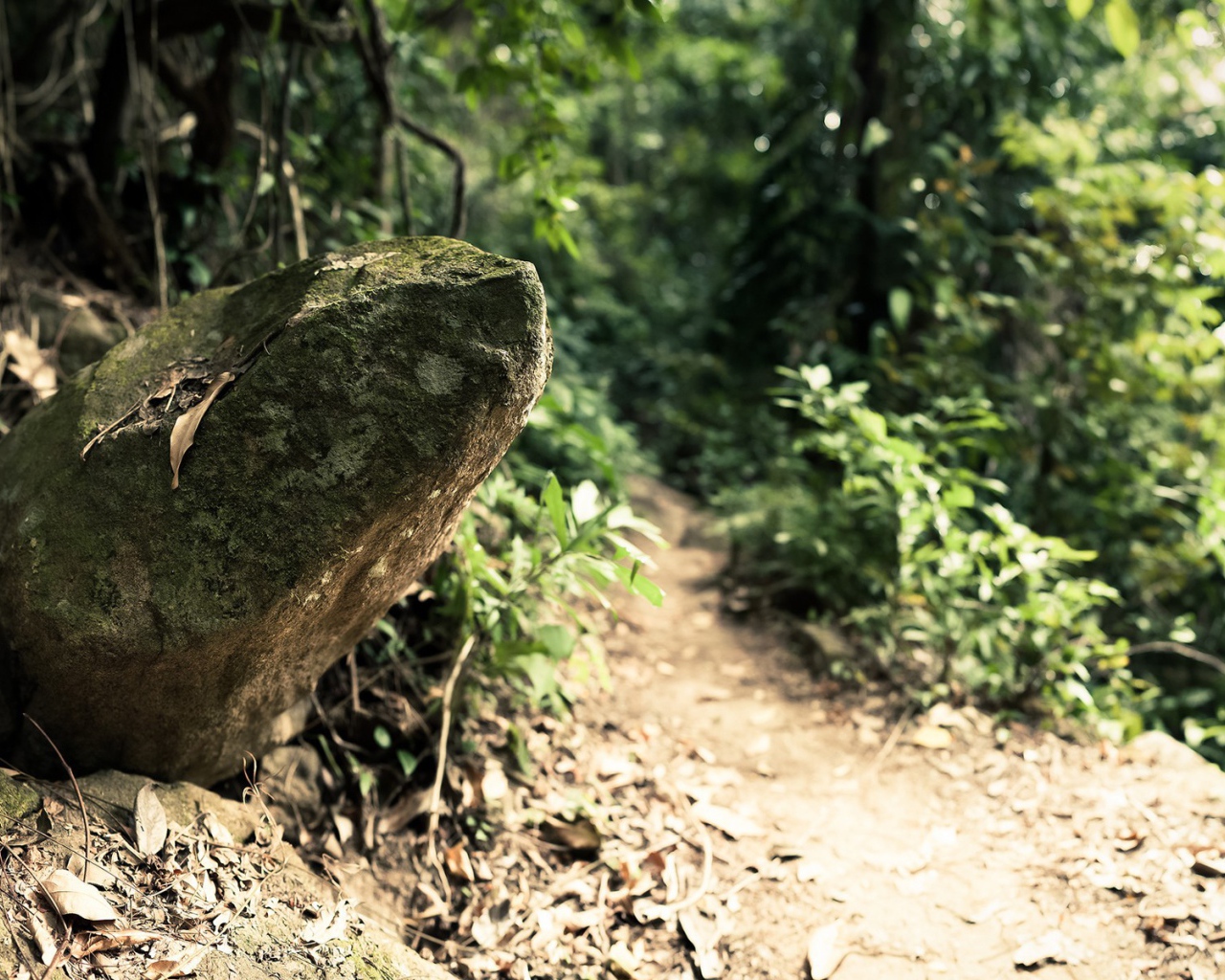 Камень у дороги