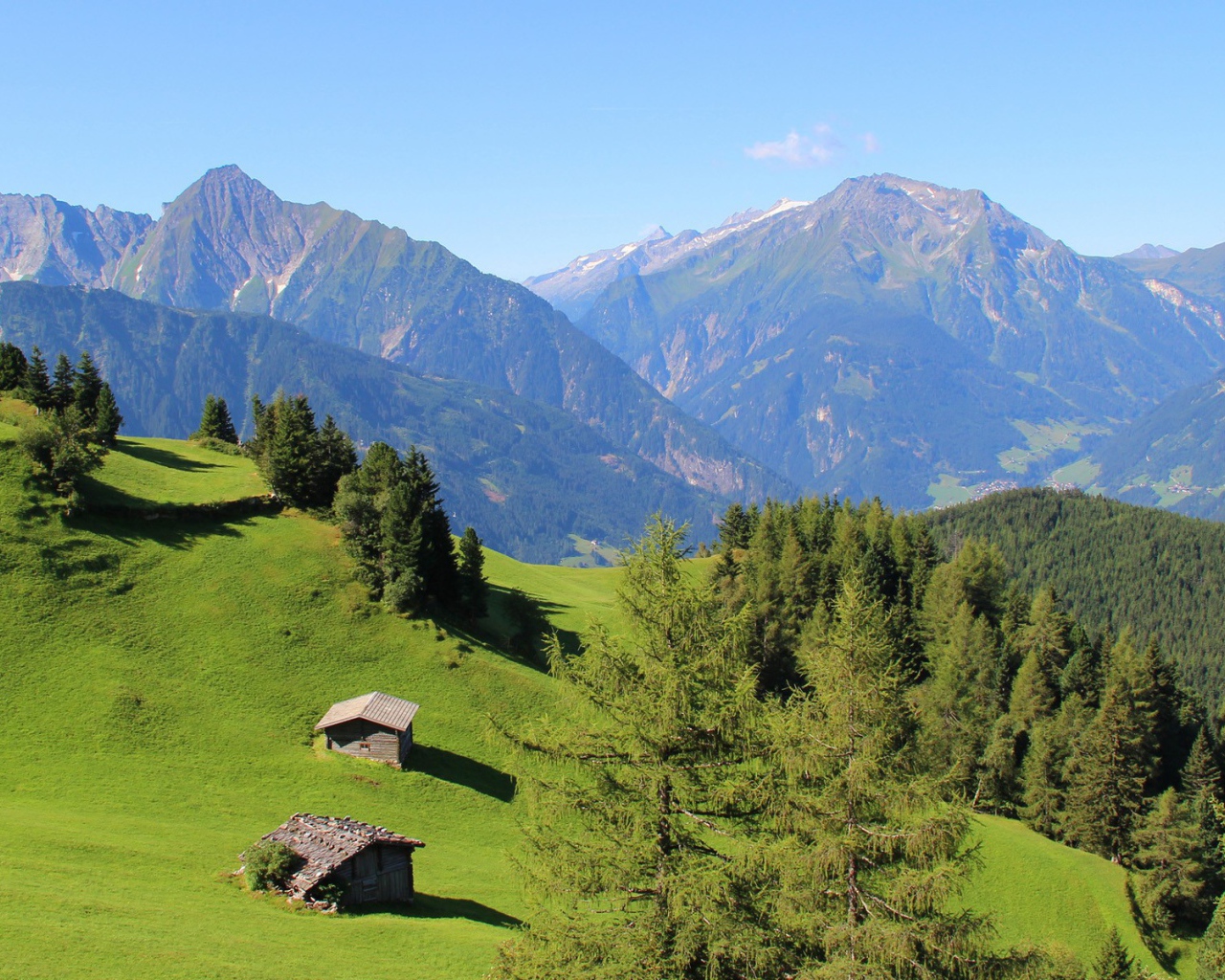 Альпийские луга и голубая даль