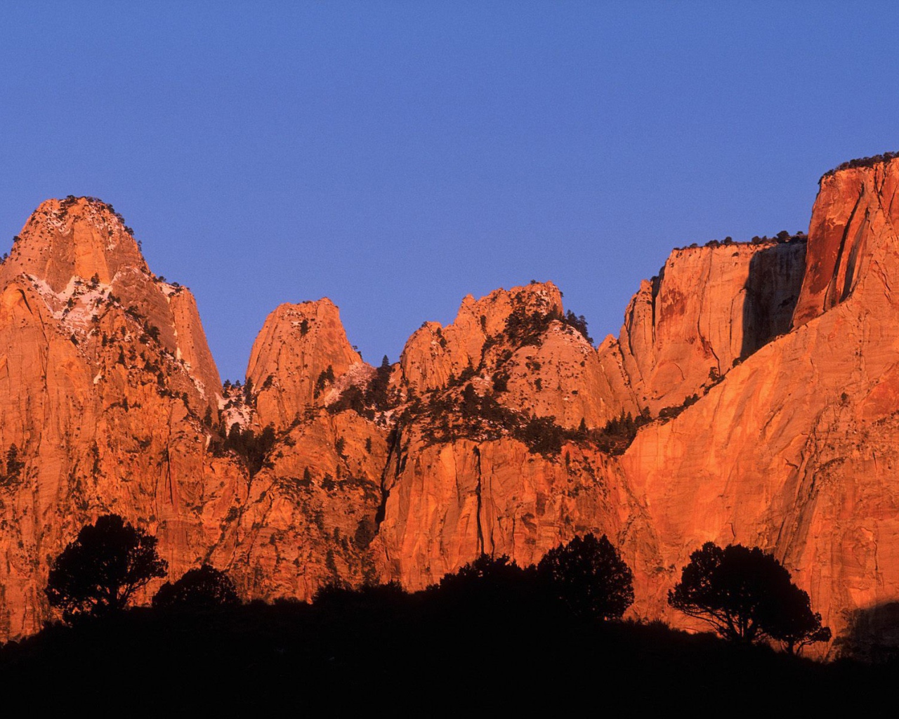 Красивый горный пейзаж с деревьями