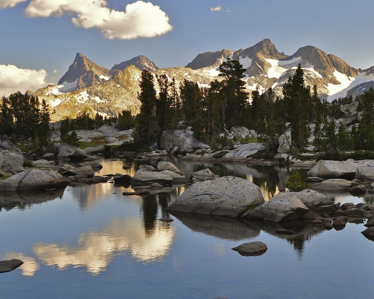 Хвойный Лес в горах