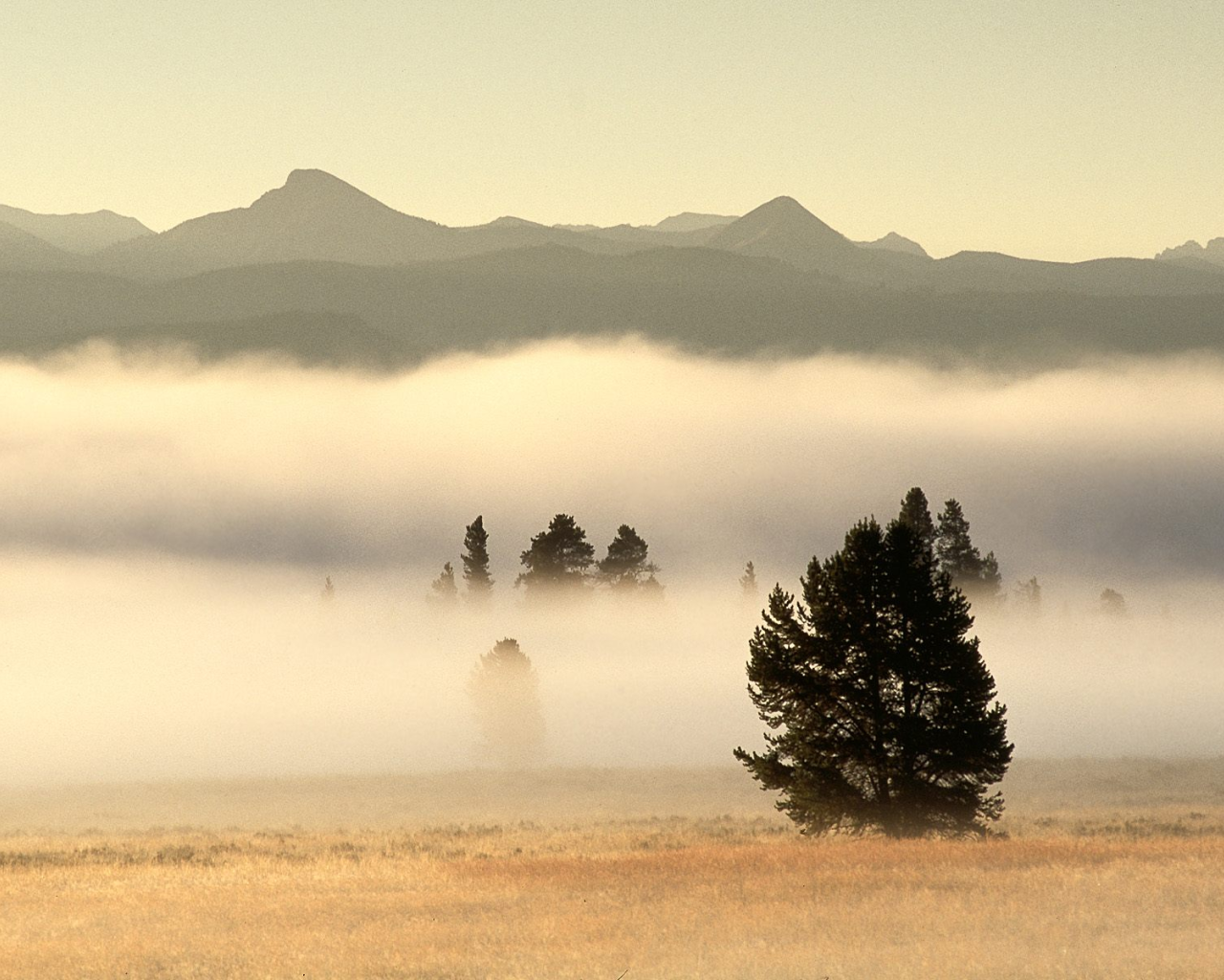 Туман на долине в горах