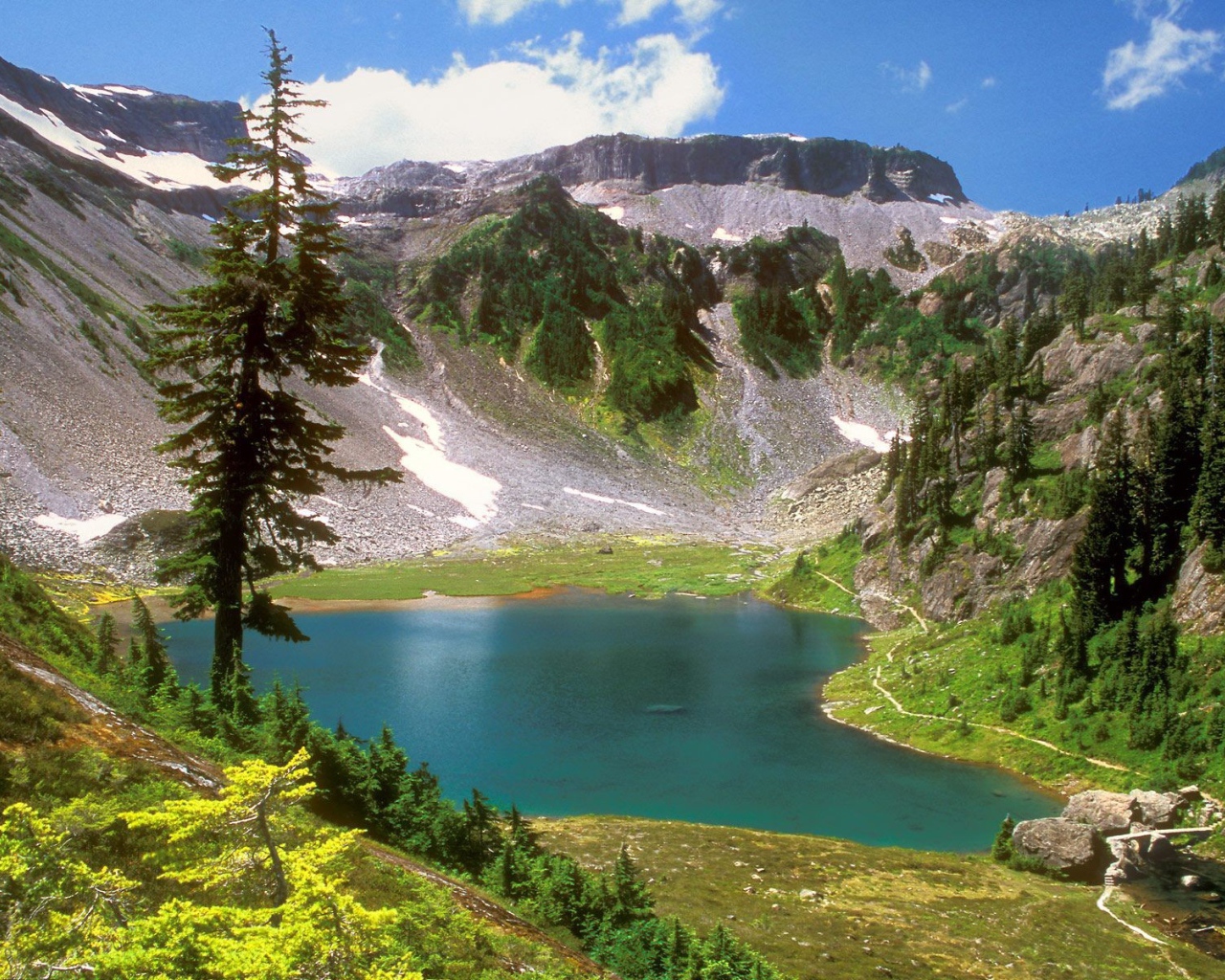 Горный пейзаж с деревом и озером