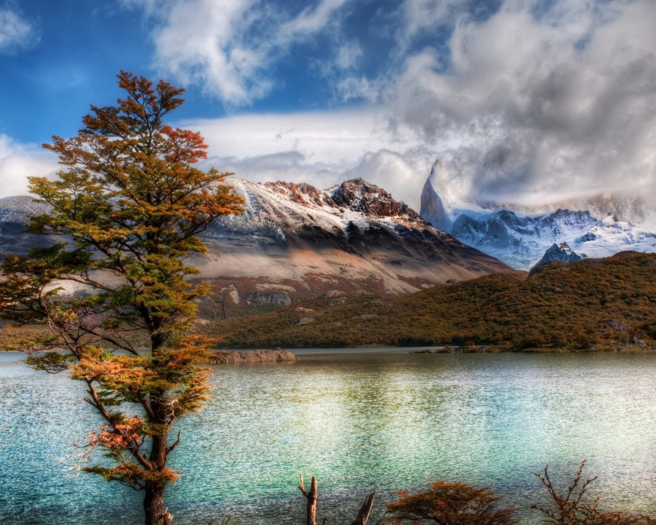 Горный пейзаж с деревом