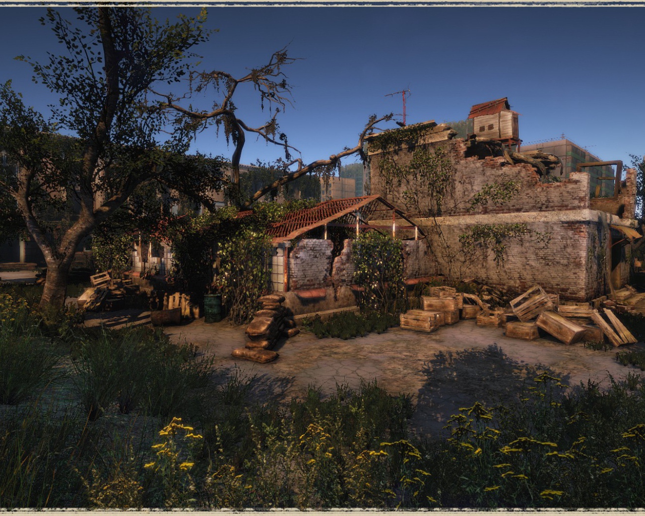 Развалины старого дома