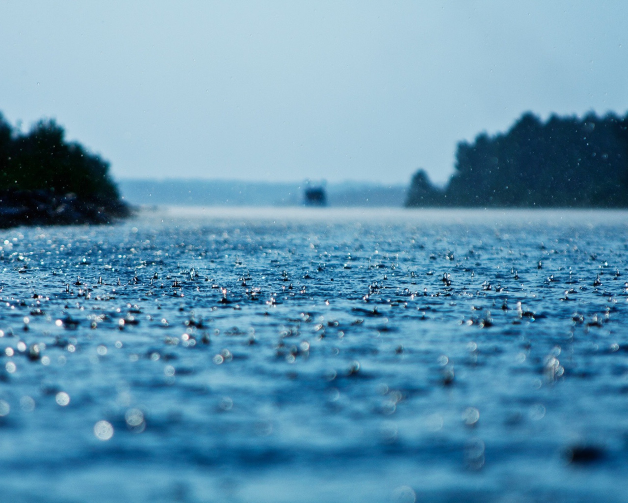 Капли дождя на дороге