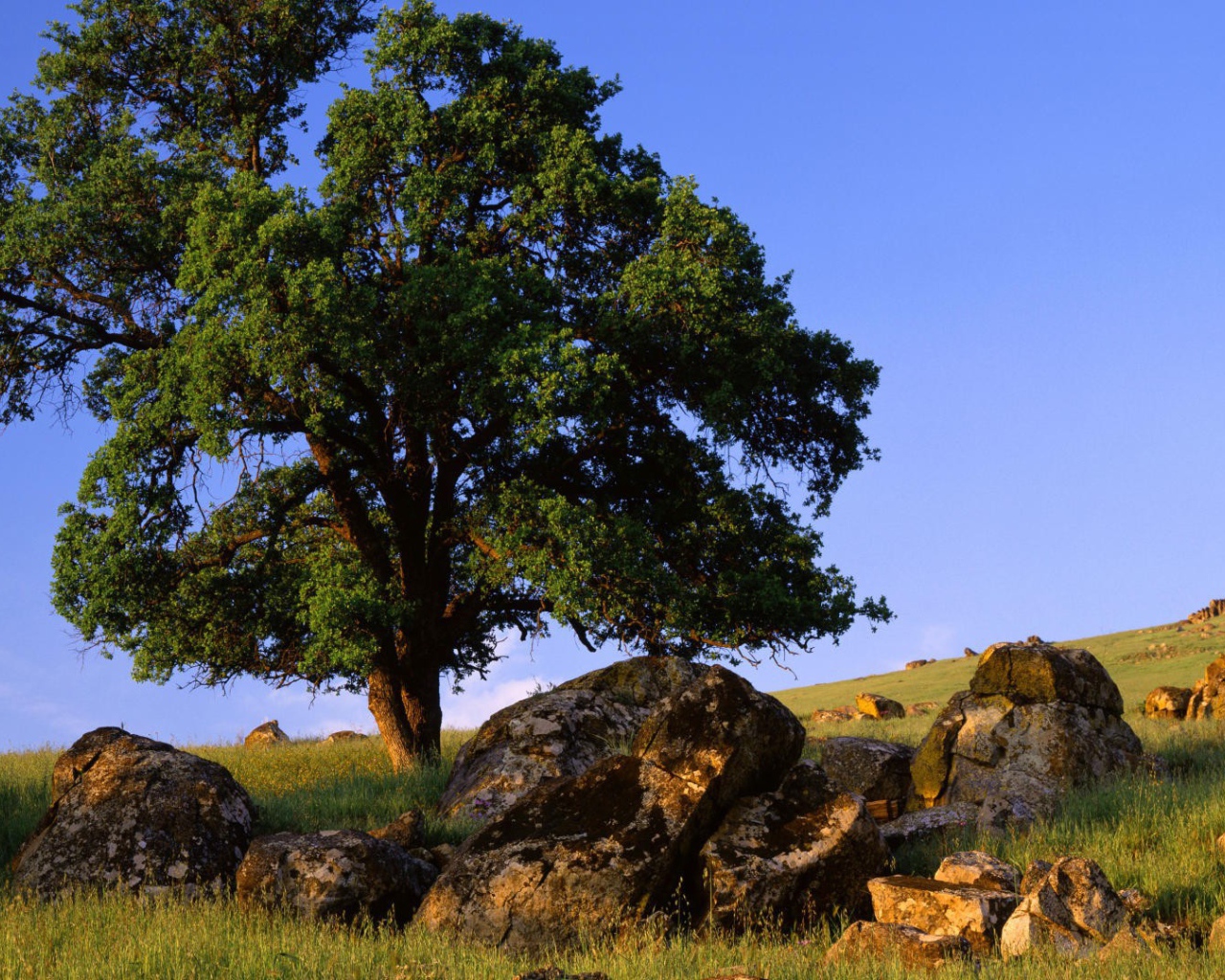 Природа штата Невада