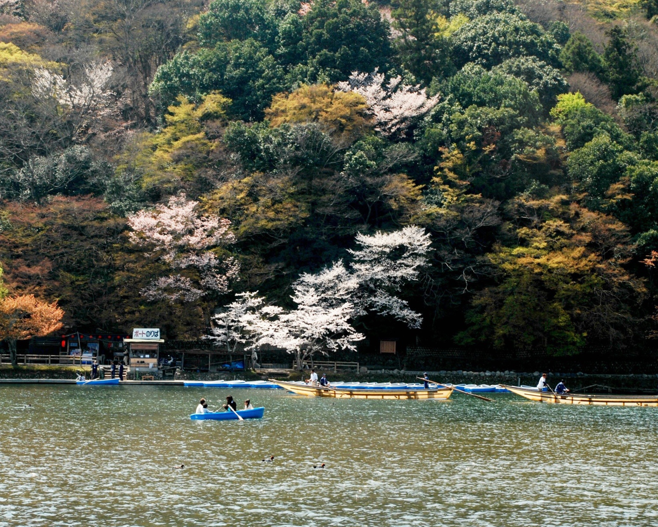 Катание на лодках