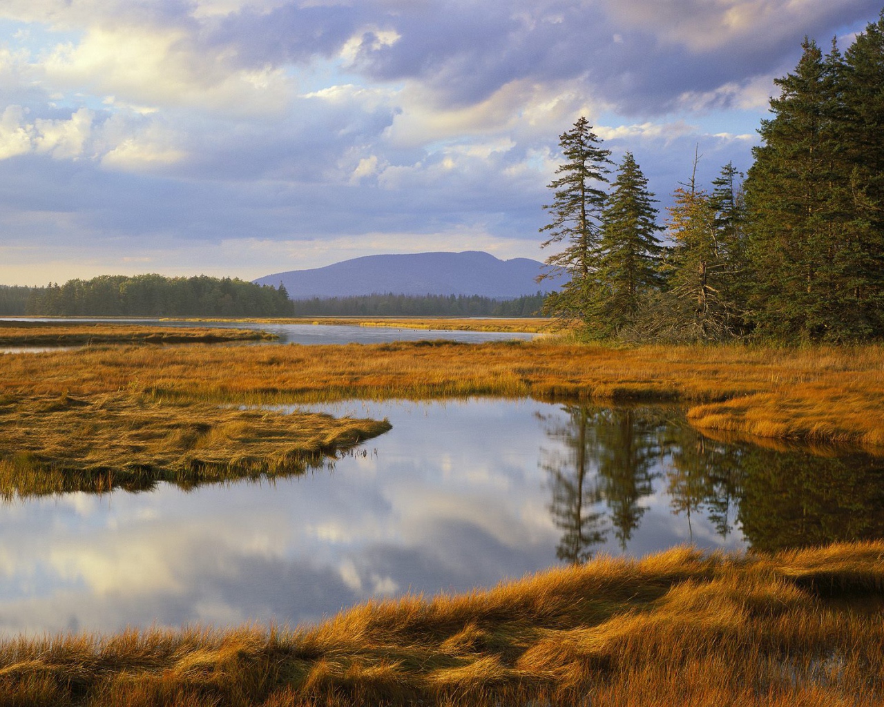 Озеро заросшее травой
