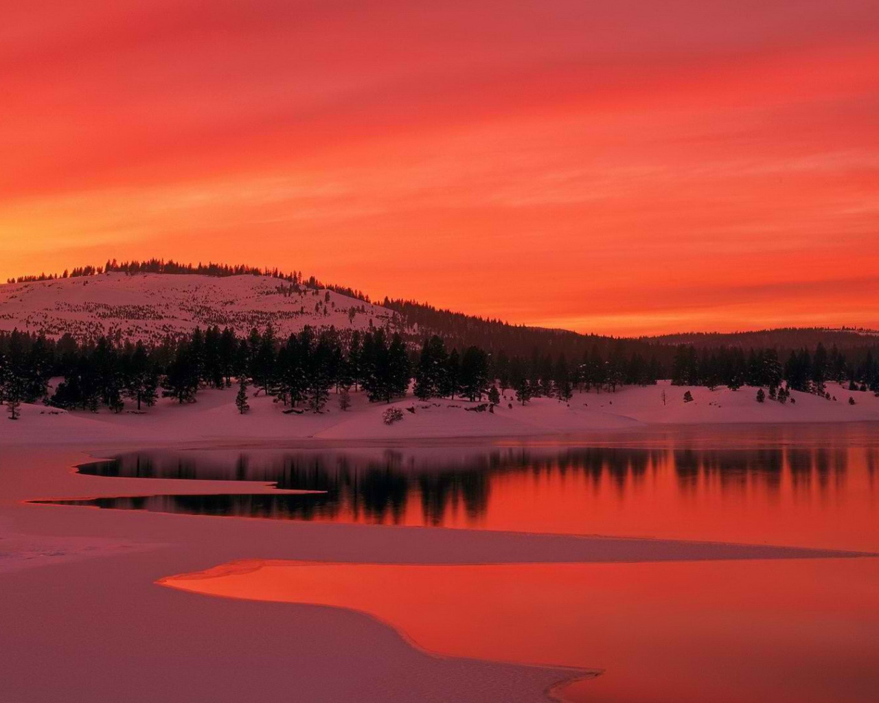 Пейзаж в багровых тонах