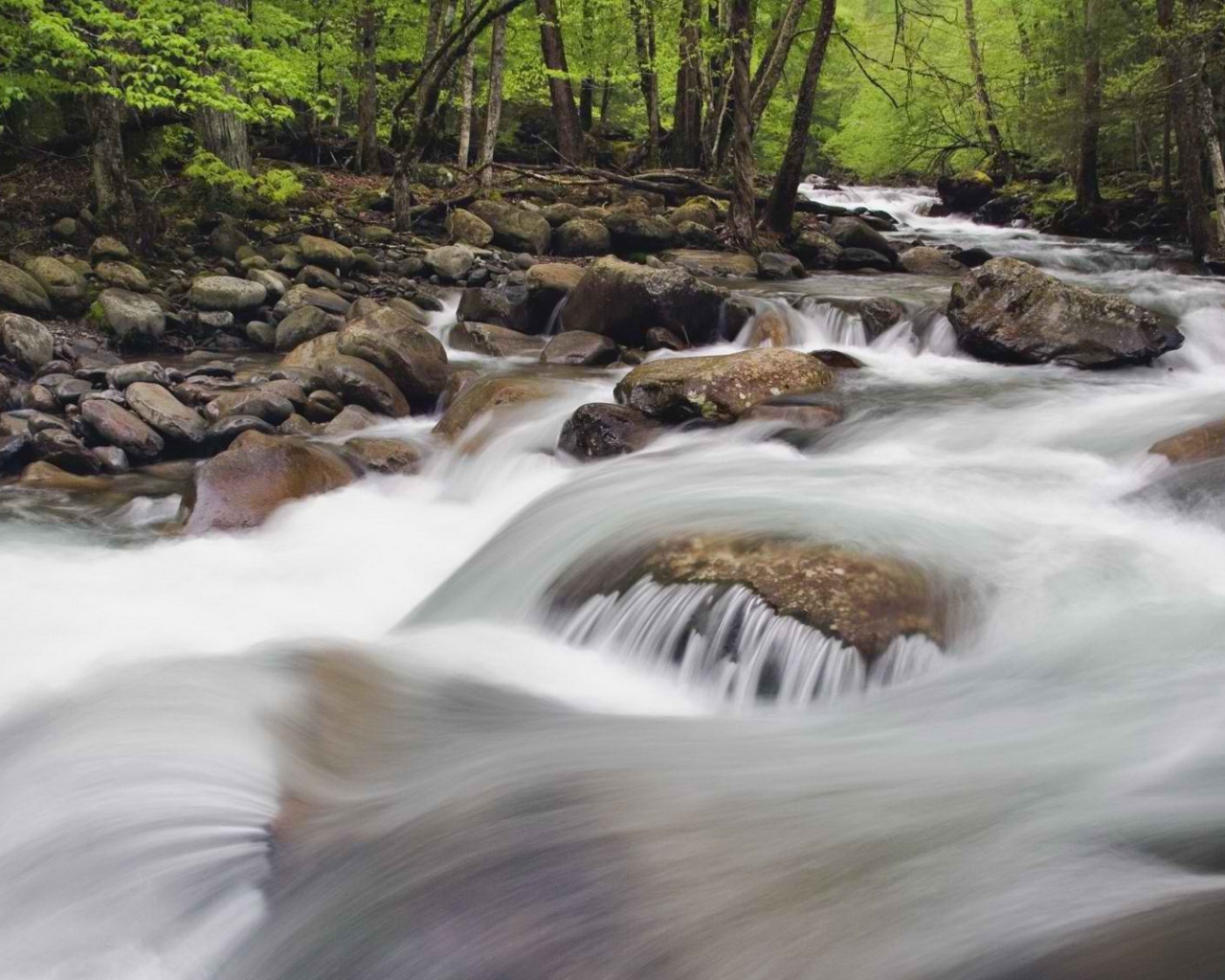 Национальный парк Теннессее