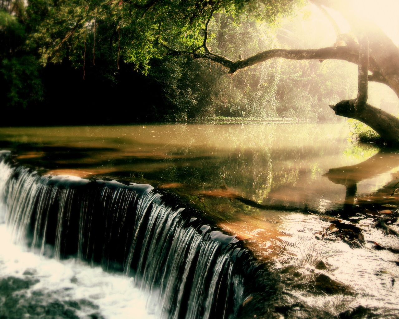 Заросшая река с водопадом