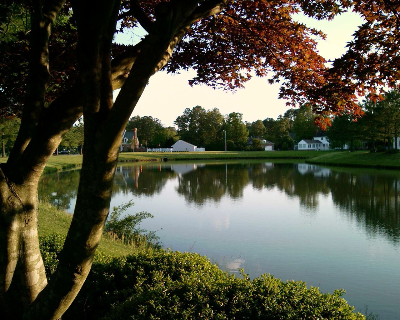 Тихий пруд в Германии