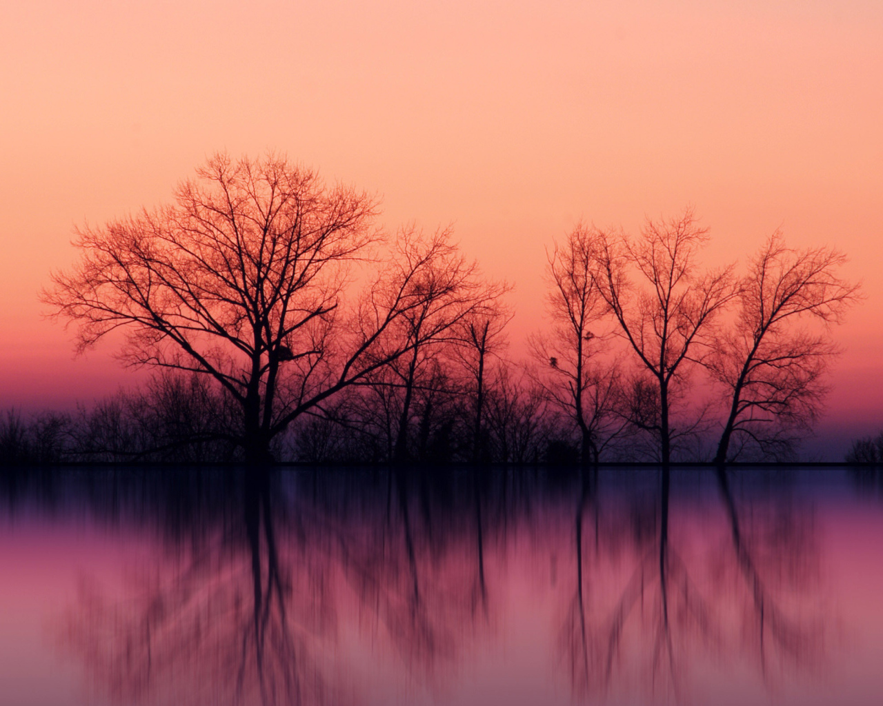 Весенний рассвет на озере