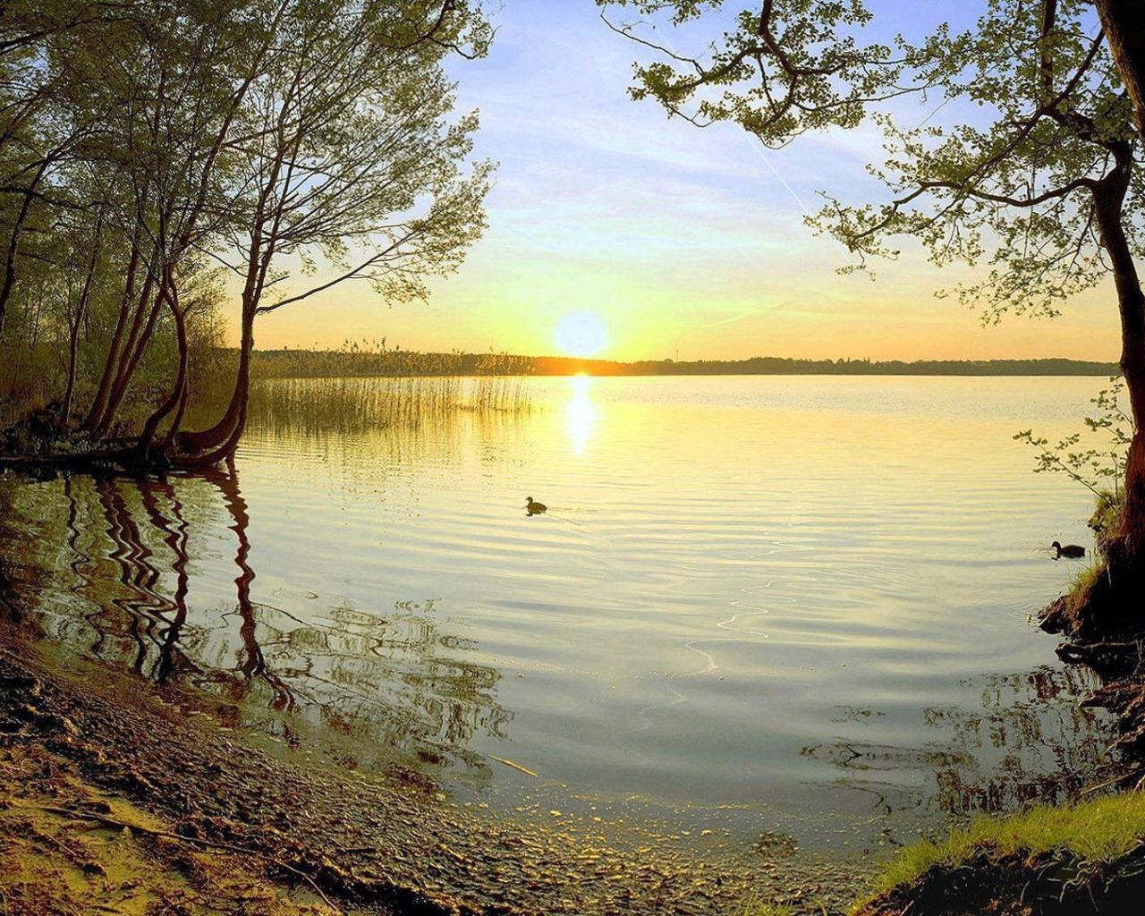 Закат на лесном озере