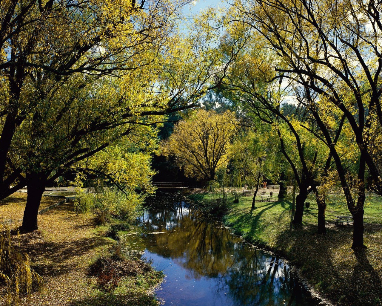 Австралийский пейзаж с рекой