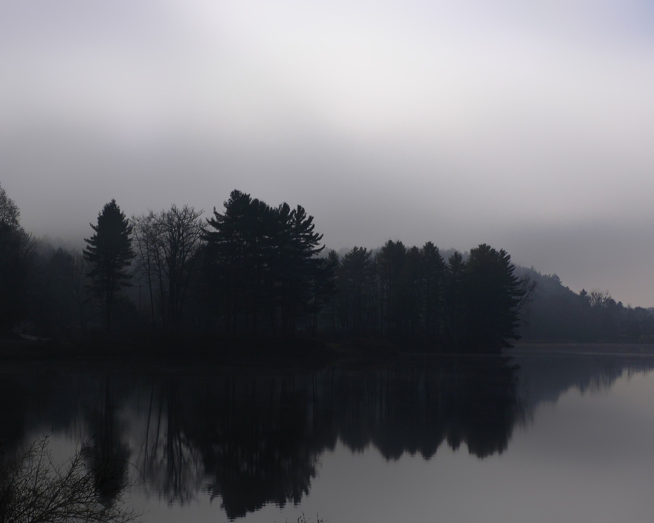 Туманный лес у реки