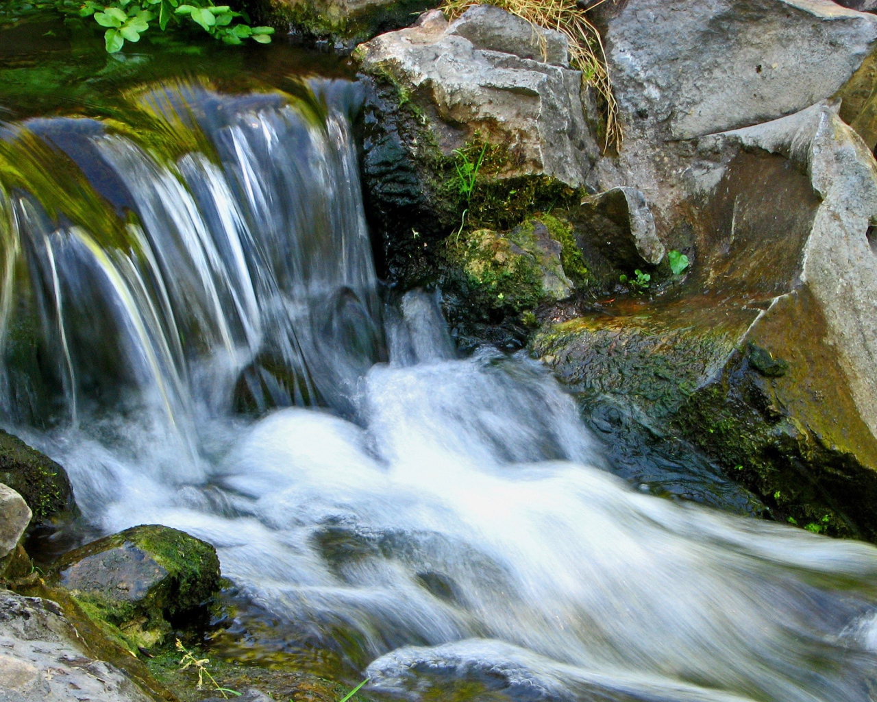 Небольшой горный ручей